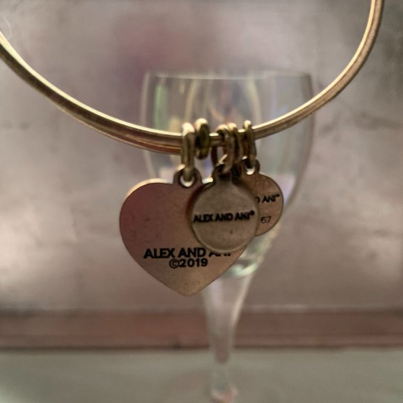 Alex and Ani: Love Is In The Air Bracelet - Picture 3 of 3